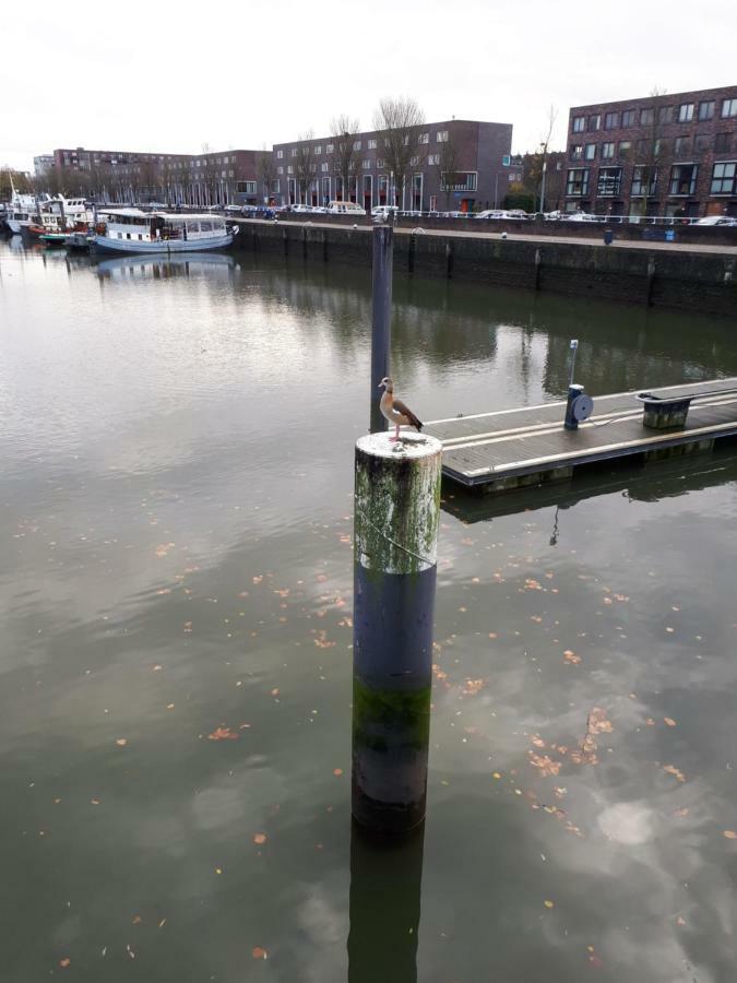 B&B Unitas Rotterdam Kültér fotó